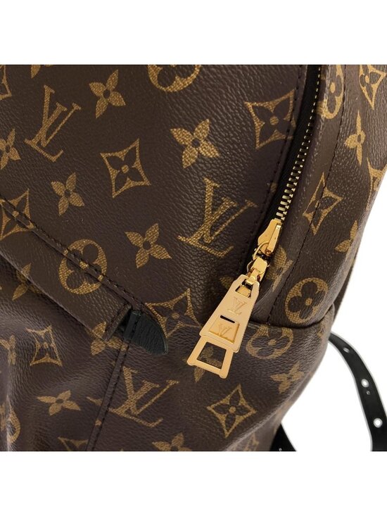 Louis Vuitton Monogram Palm Springs Backpack MM main image 8